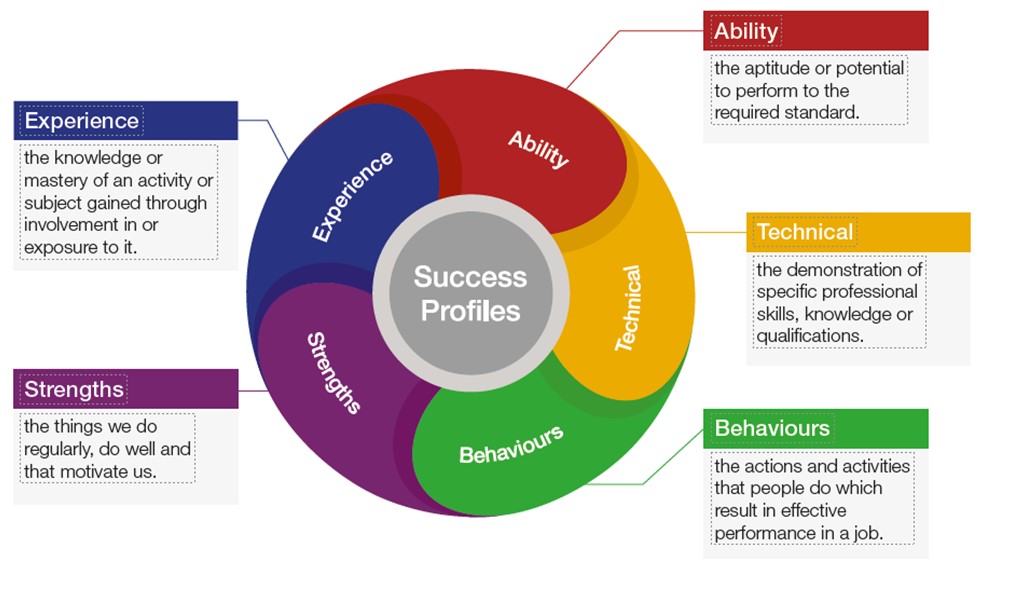 success profile